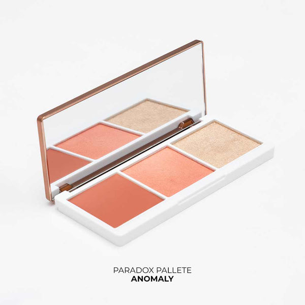 Paradox Blush and Highlighter Palette